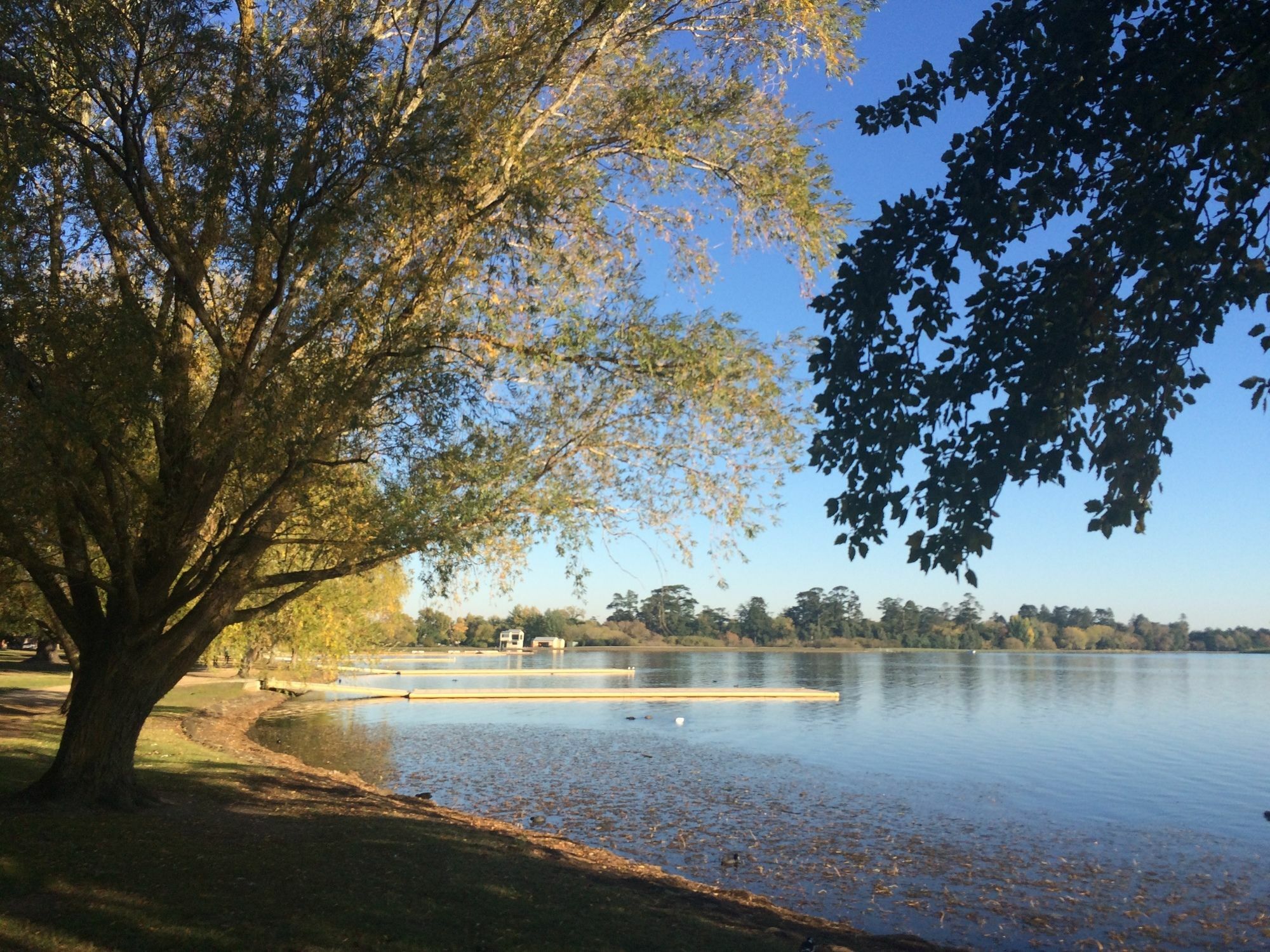 Lake Wendouree Luxury Apartments On Webster แบลเลอแรต ภายนอก รูปภาพ